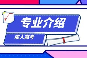 2024年成人高考法学专业解析