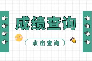 2024年西双版纳成人高考成绩查询入口