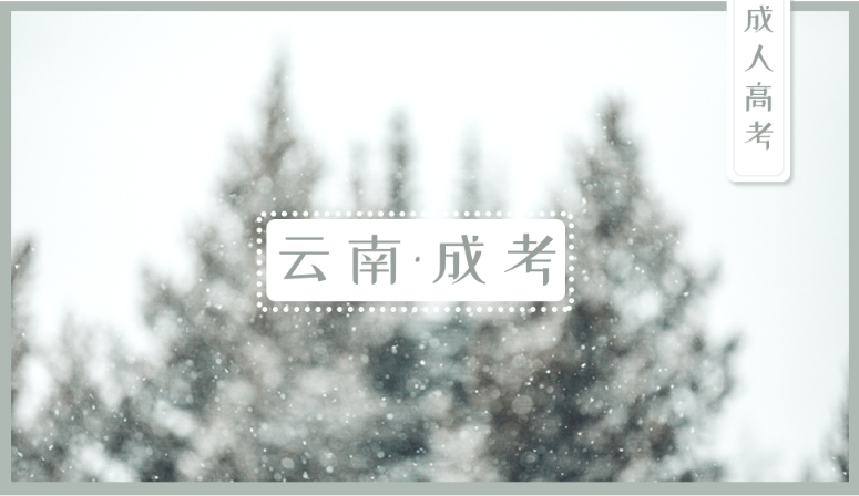 丽江成人高考复习有哪些原则？