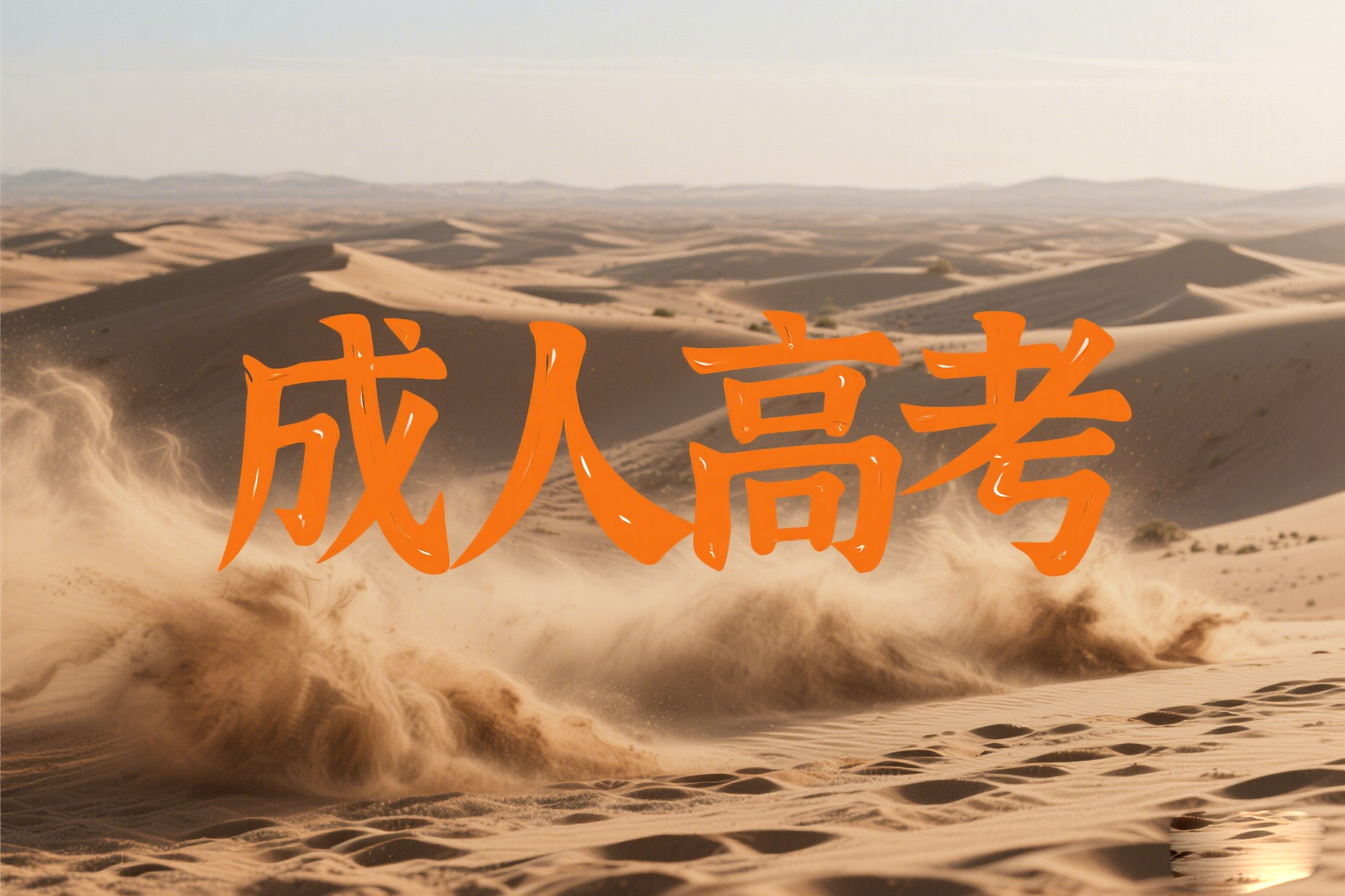 2025年大理州成考高起专专业