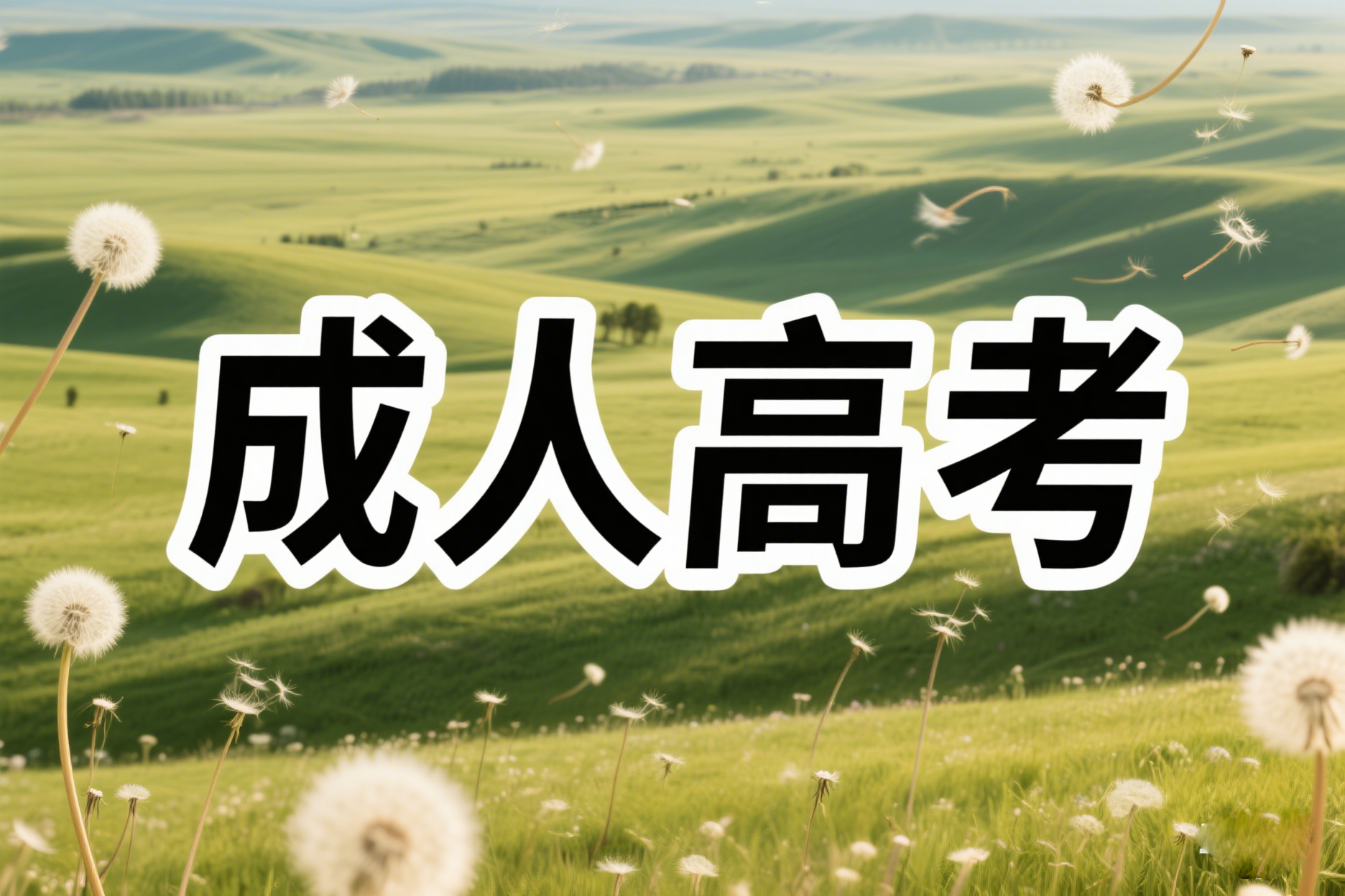 云南省成人高考报名入口